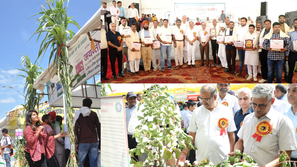 Agriculture fair inaugurated at Chaudhary Charan Singh Haryana Agricultural University