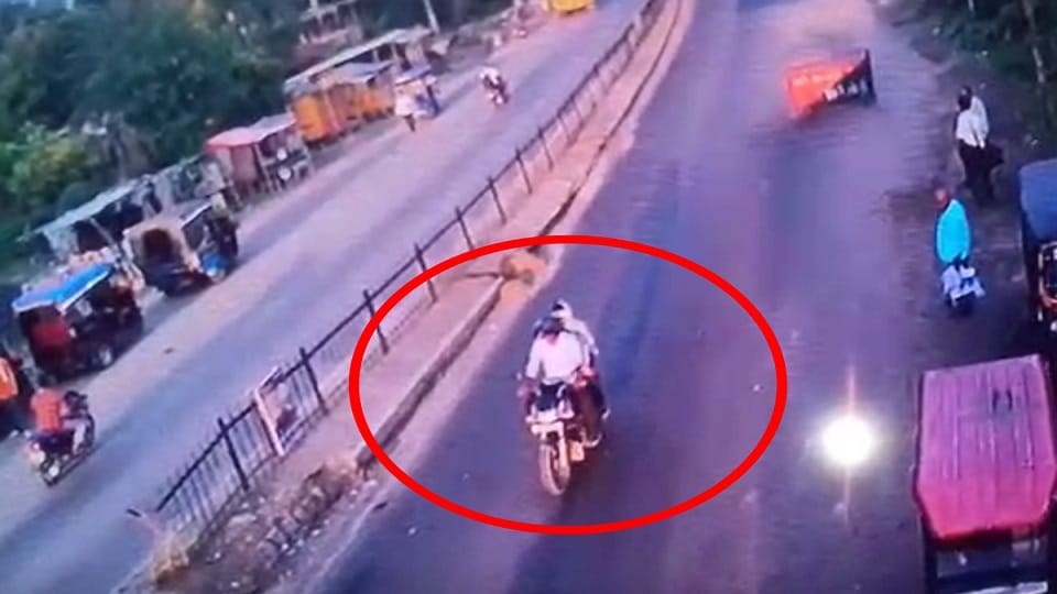 Begusarai Shootout 4 Accused Arrested by Bihar Police Latest News in Hindi