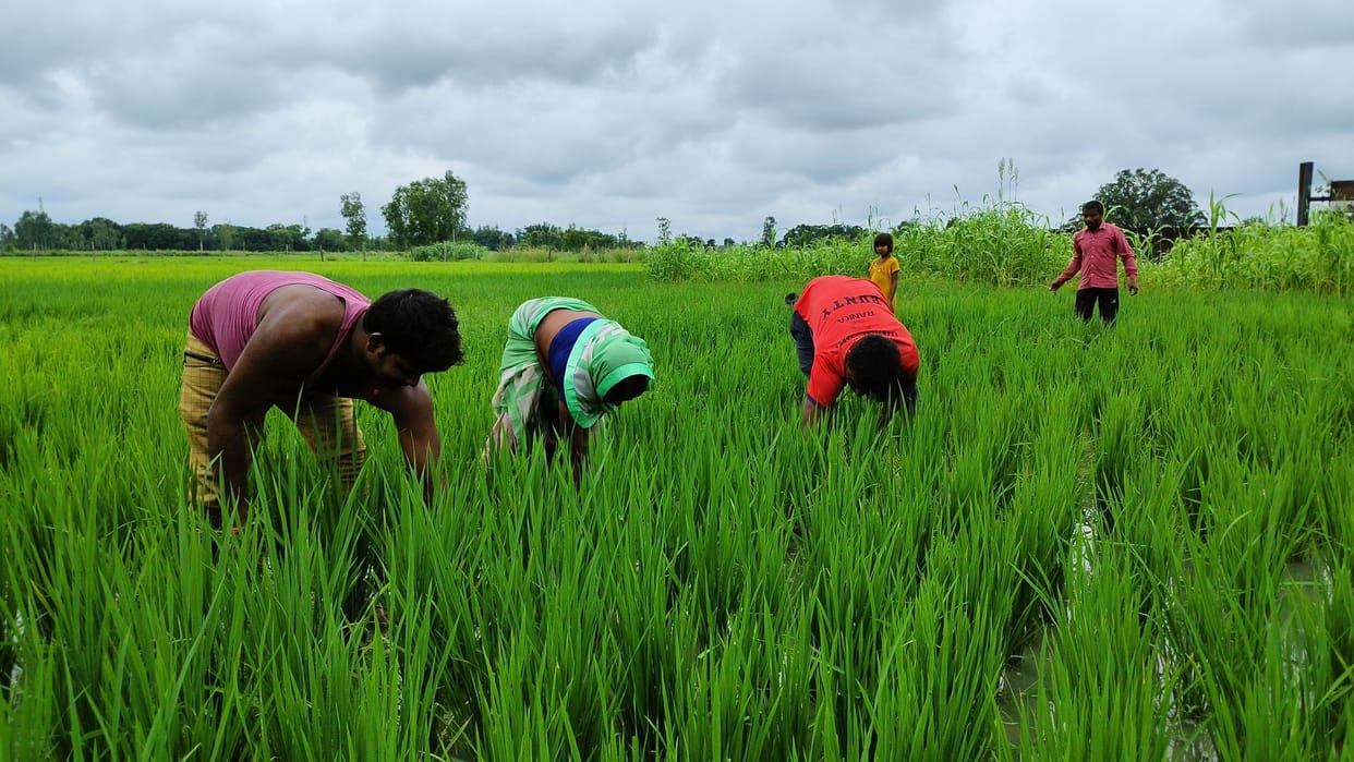 rainfall in santkabirnagar