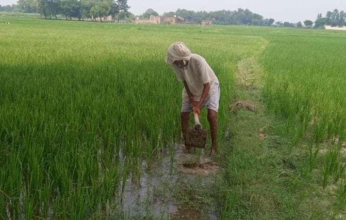 Rain on the spot, farmers' bat-bat