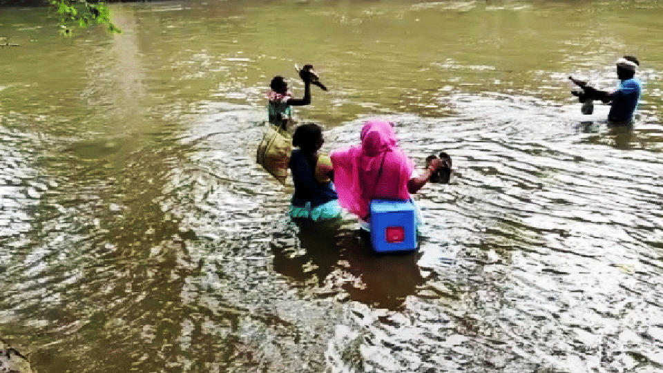 Chhattisgarh: Health team wades through swollen rivers to reach villages of Bijapur for Covid-19 vaccination