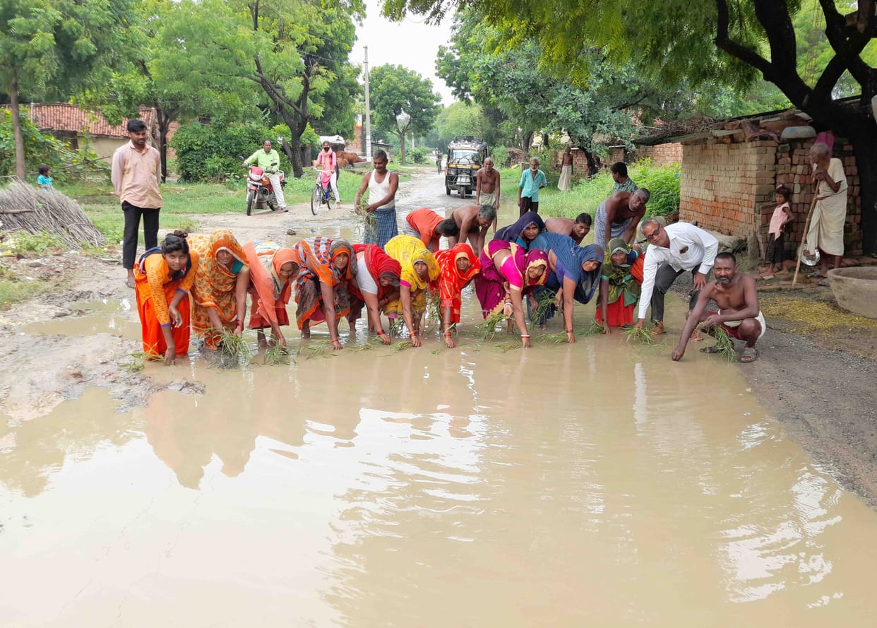 Villagers demonstrated by planting paddy on a road filled with dirty water