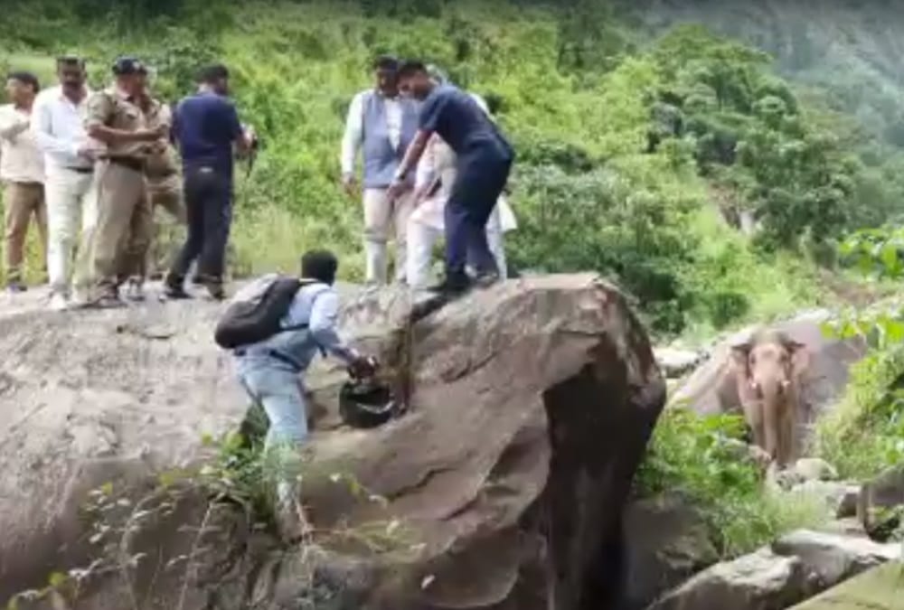 Uttarakhand News: Elephant enter on Kotdwar Pauri highway in front of former cm trivendra singh rawat car