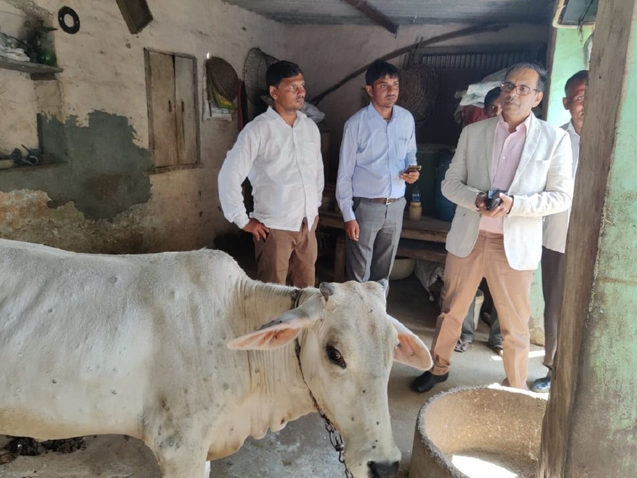 No outside animal should come to the district to save from lumpi: Dubey