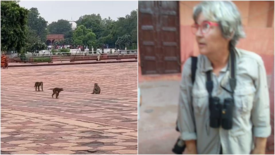 ASI Employee Duty To Run Monkey From Taj Mahal In Agra