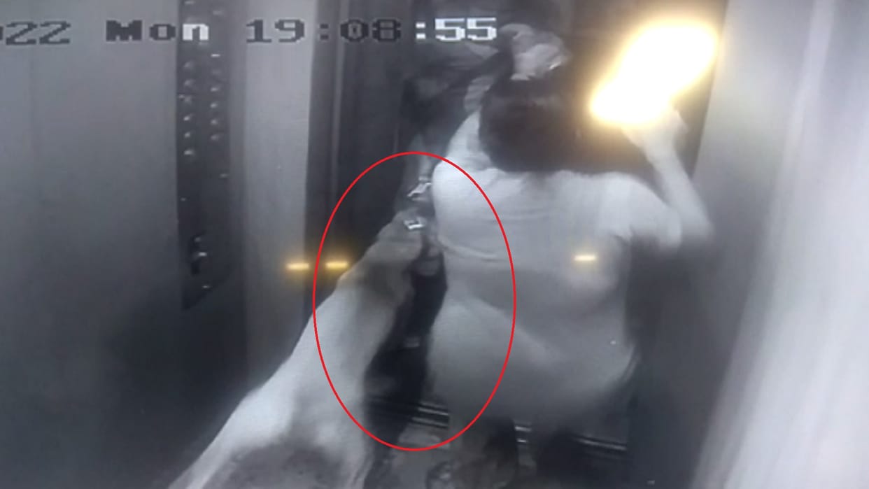 Elevators of posh colonies, terror of dogs on the streets