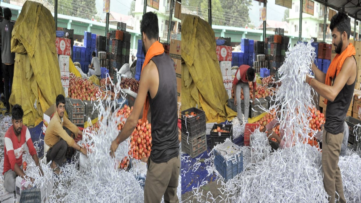 shredding of notes have been supplied from Patiala Punjab, revealed in police initial inspection