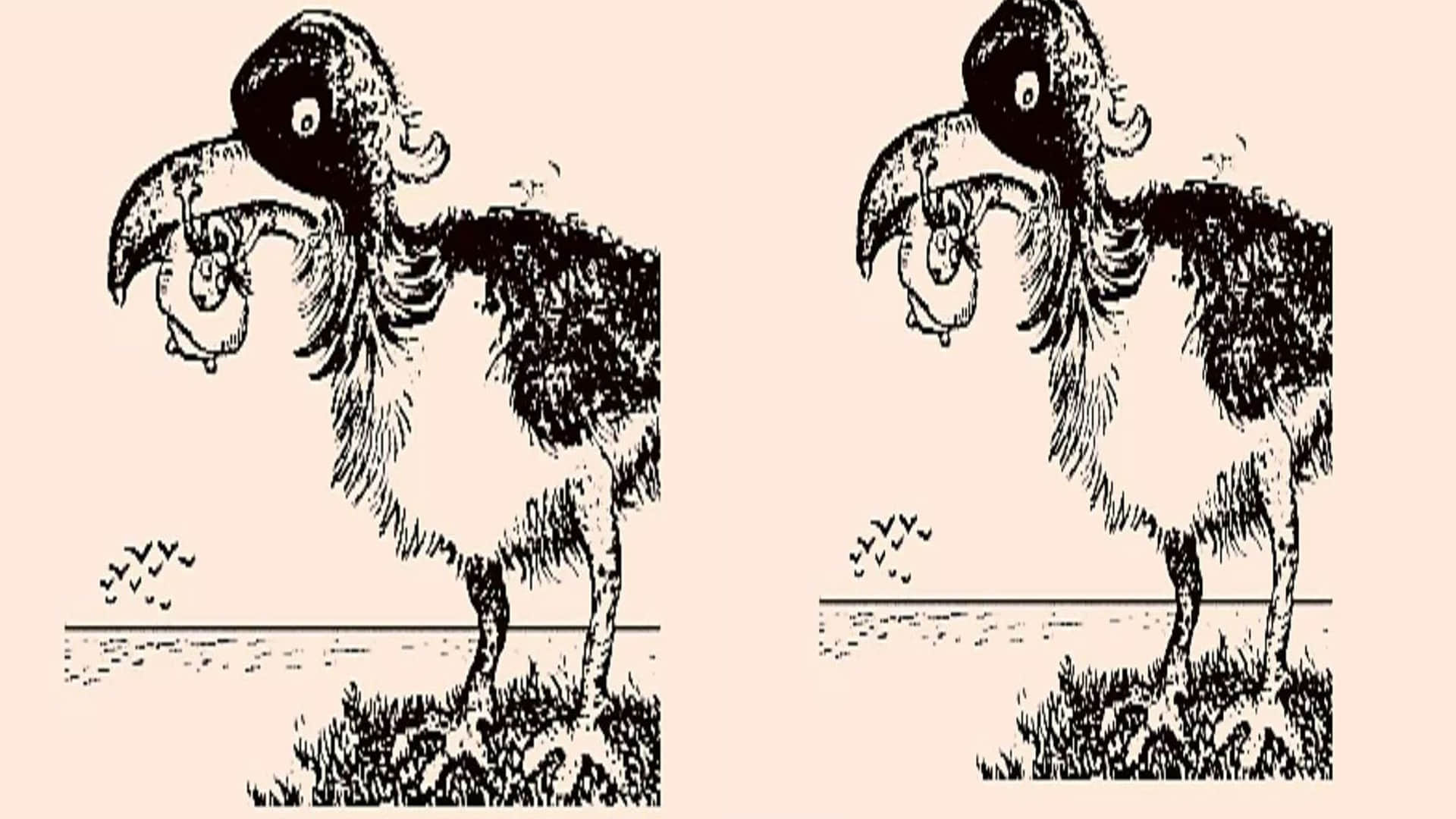 optical illusion pictures with hidden images find out fisherman in pic check brain iq google trends