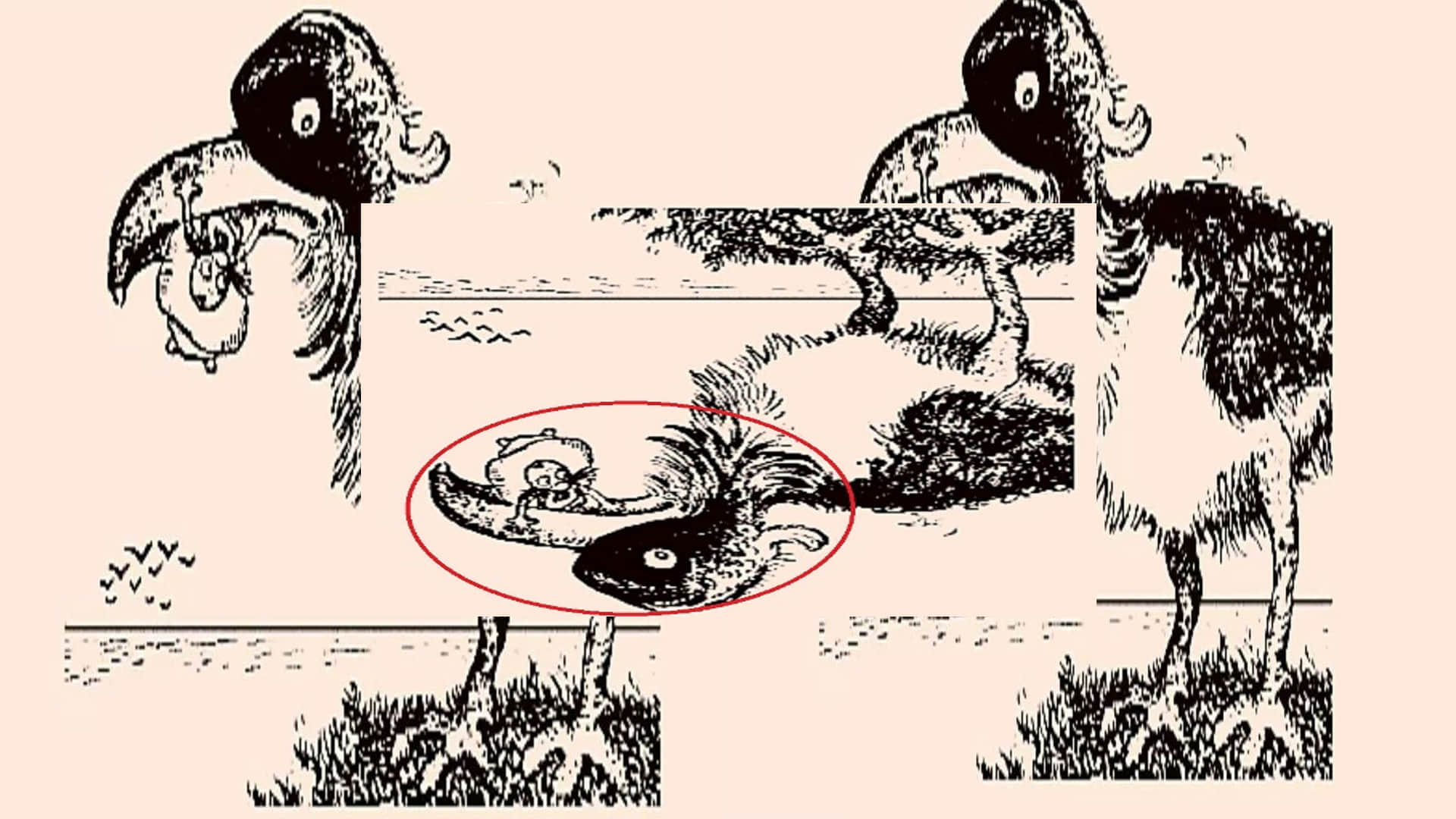 optical illusion pictures with hidden images find out fisherman in pic check brain iq google trends