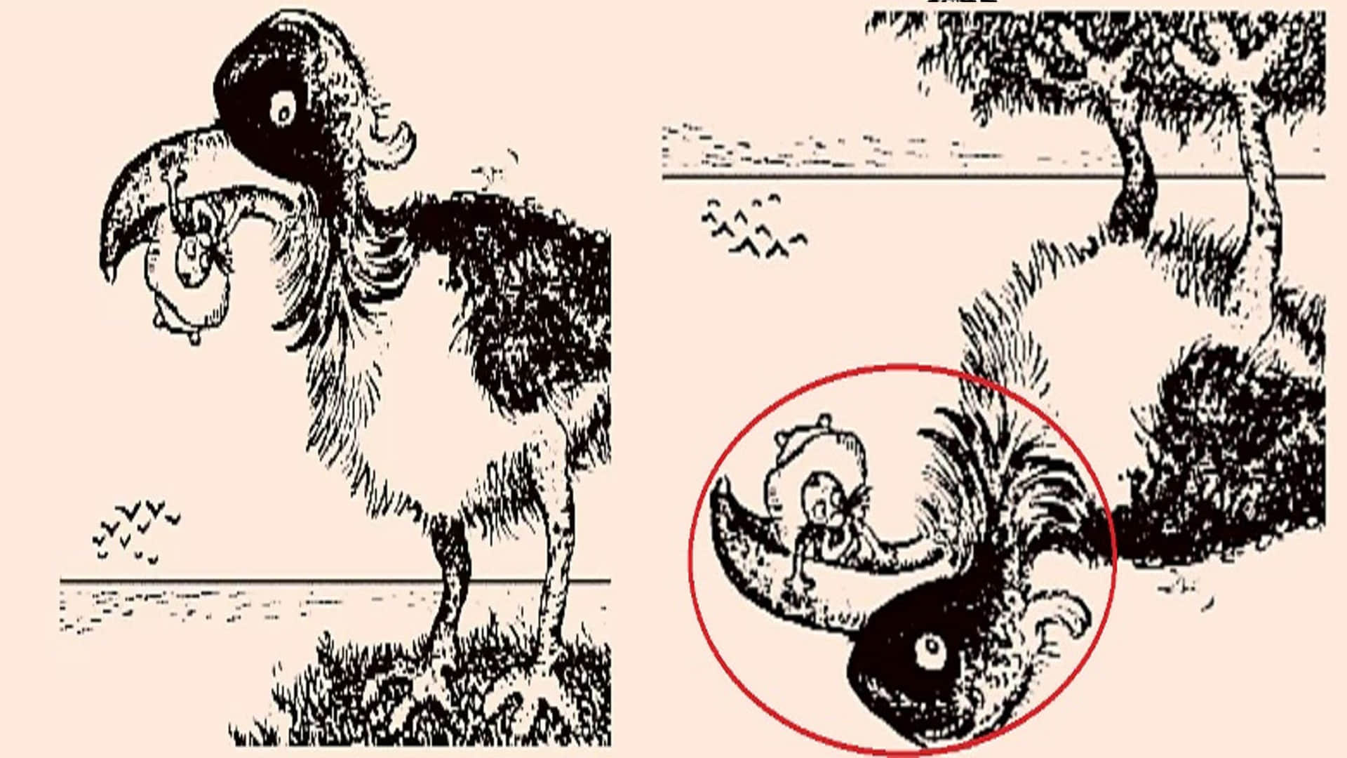 optical illusion pictures with hidden images find out fisherman in pic check brain iq google trends