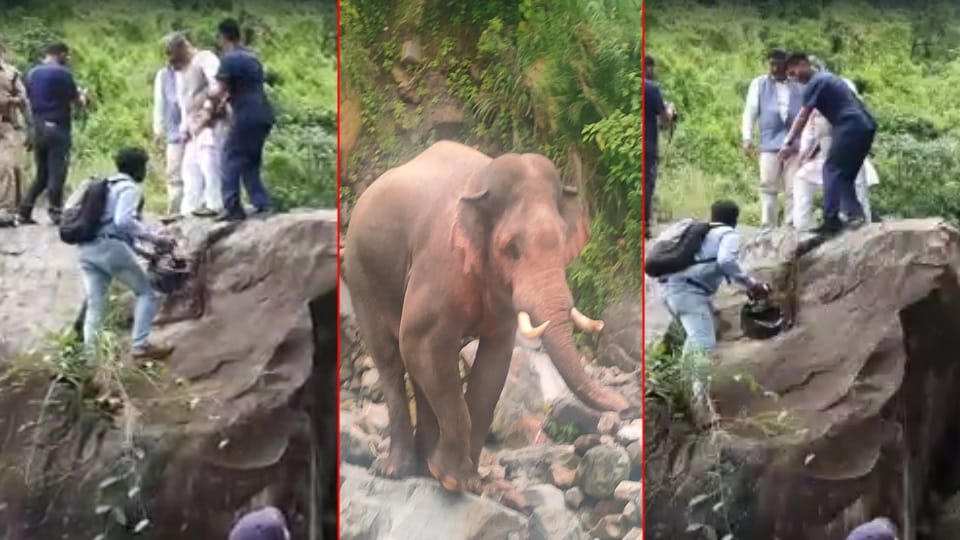 Uttarakhand News: Elephant enter on Kotdwar Pauri highway in front of former cm trivendra singh rawat car