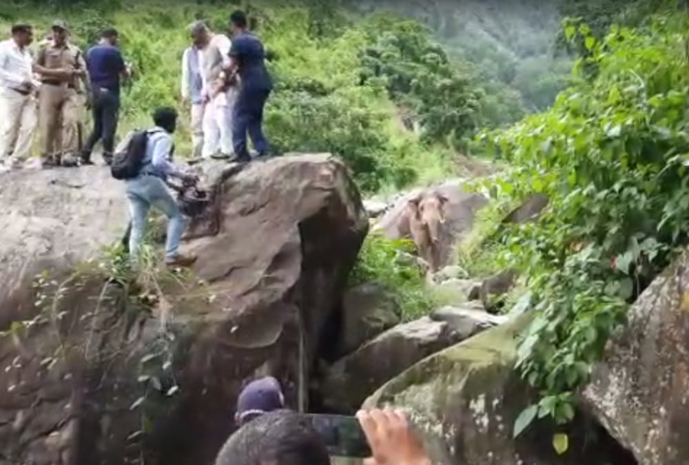 Uttarakhand News: Elephant enter on Kotdwar Pauri highway in front of former cm trivendra singh rawat car