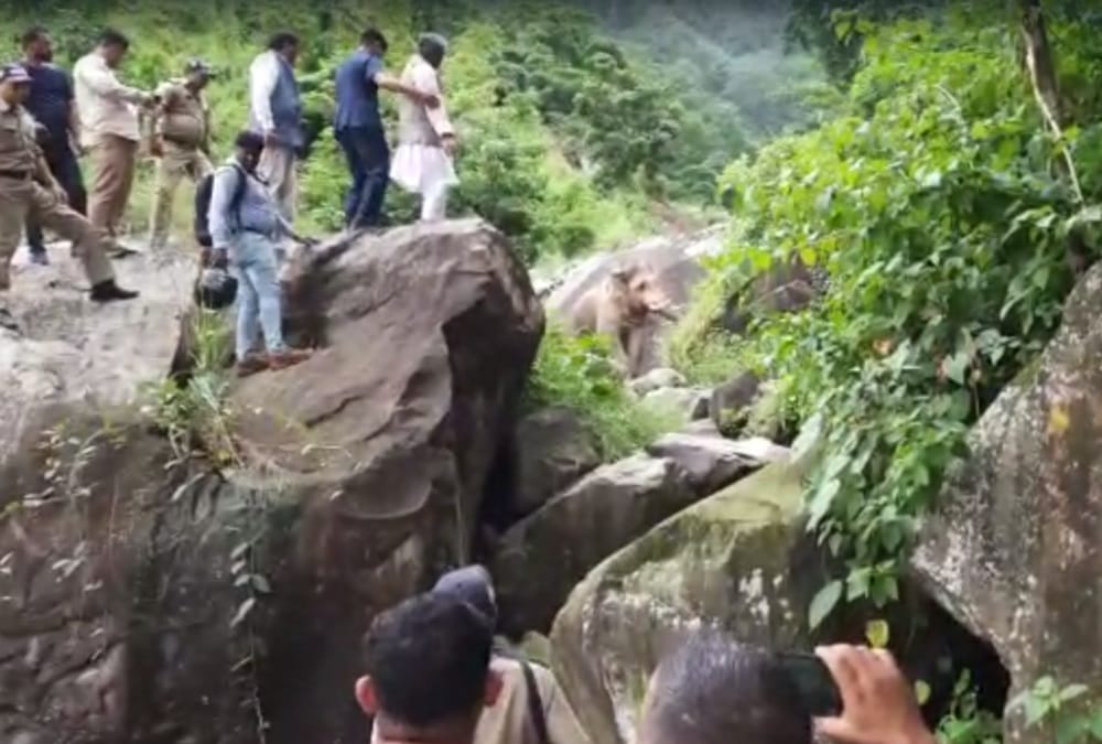 Uttarakhand News: Elephant enter on Kotdwar Pauri highway in front of former cm trivendra singh rawat car