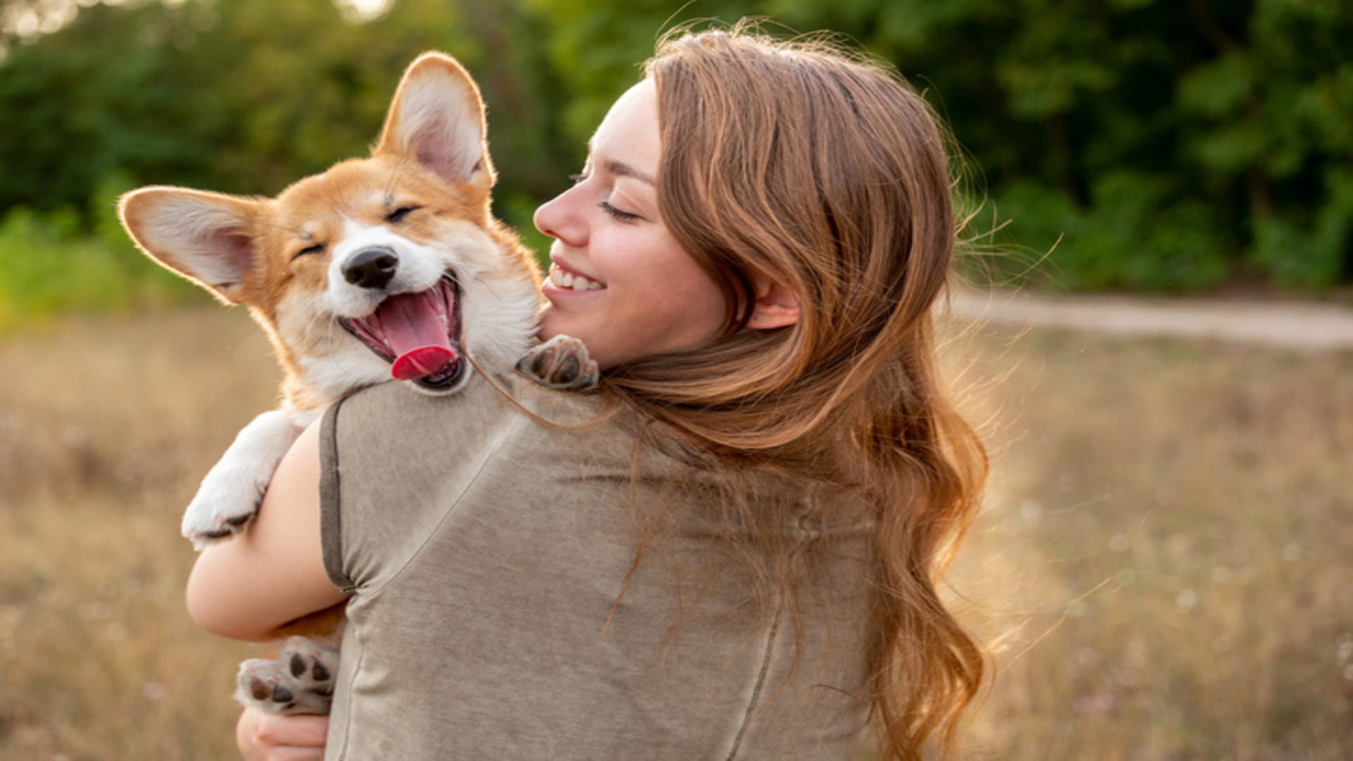 Pet Dog Rules: If you have a pet dog in your house, then keep these things in mind