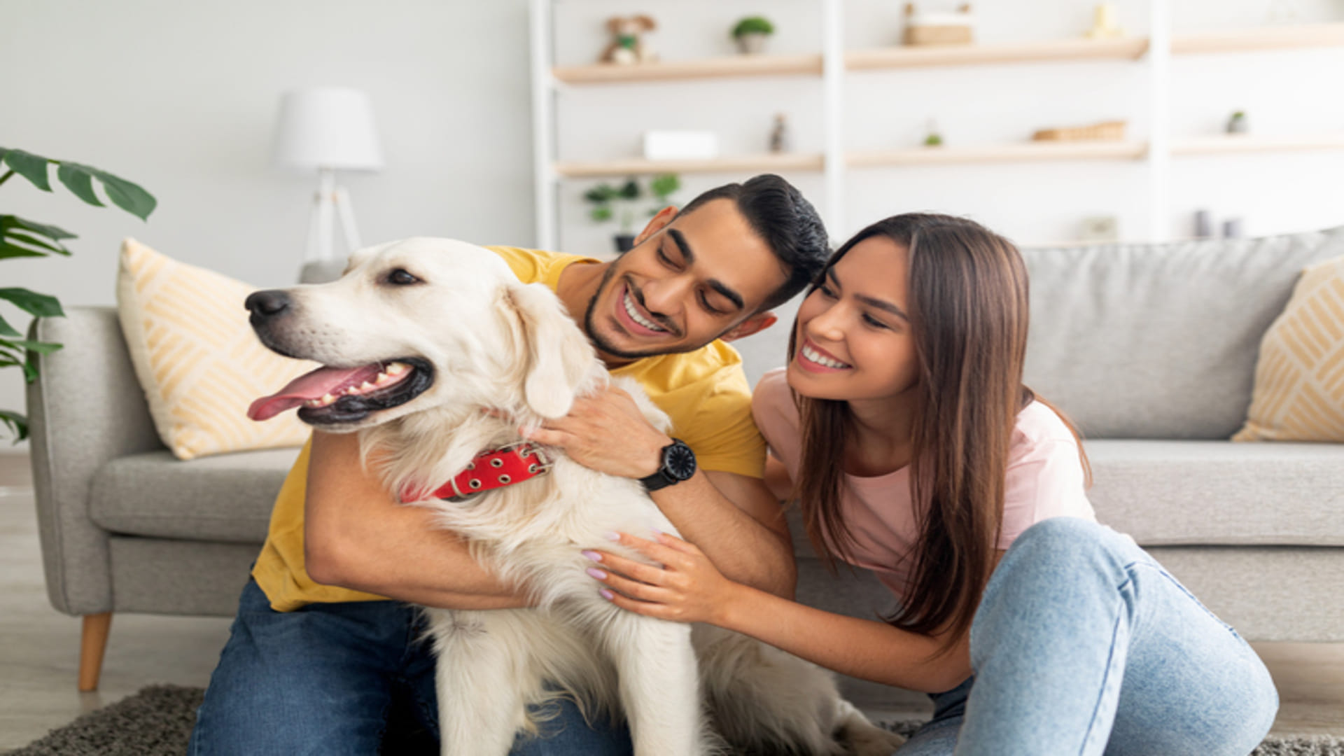 Keep These Things In Mind If You Have Pet Dog