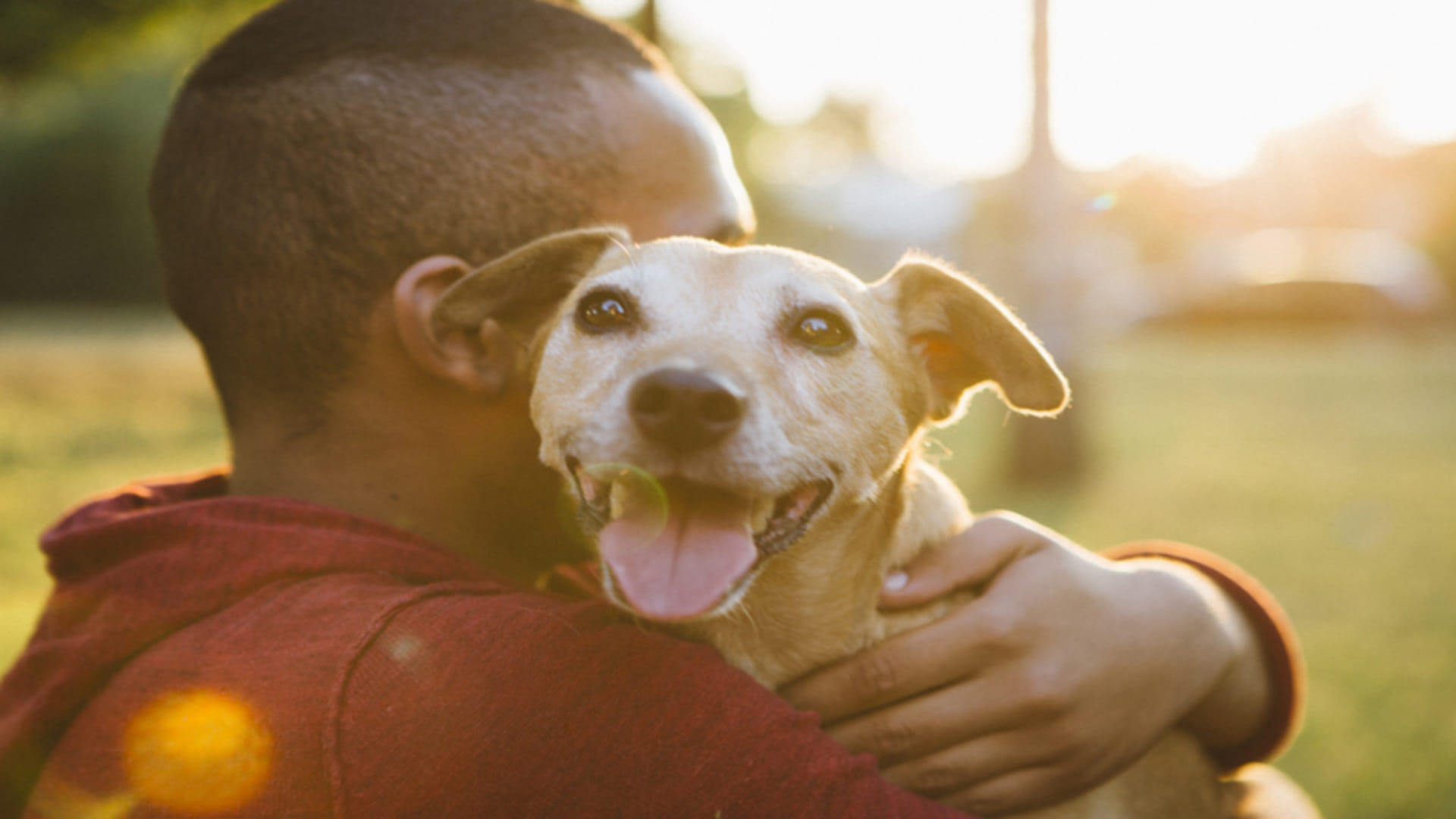 Keep These Things In Mind If You Have Pet Dog