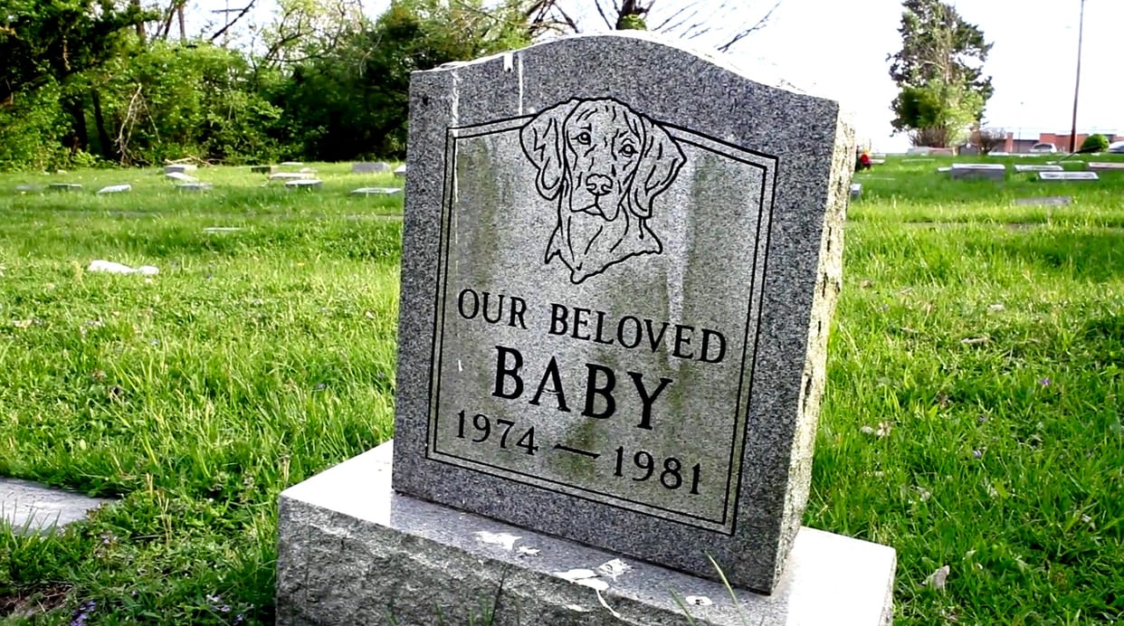 Pets Crematorium: Crematorium of animals will be built in every district