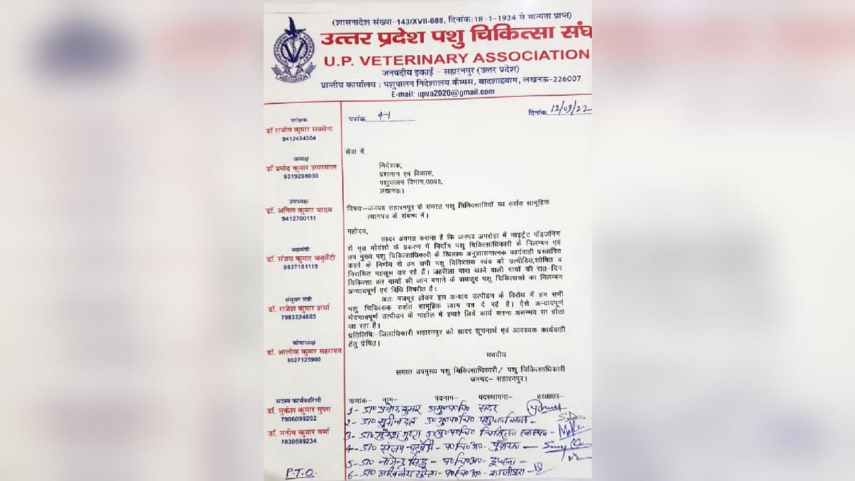 Resignation of six veterinary doctors of Saharanpur has been accepted in case of death of 63 cows