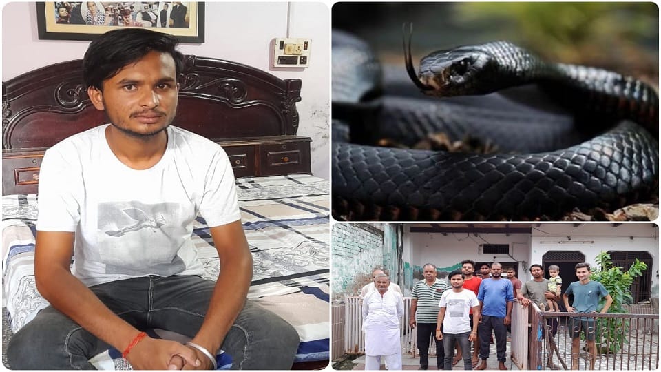 snake bite rajat chahar for five time in agra up news