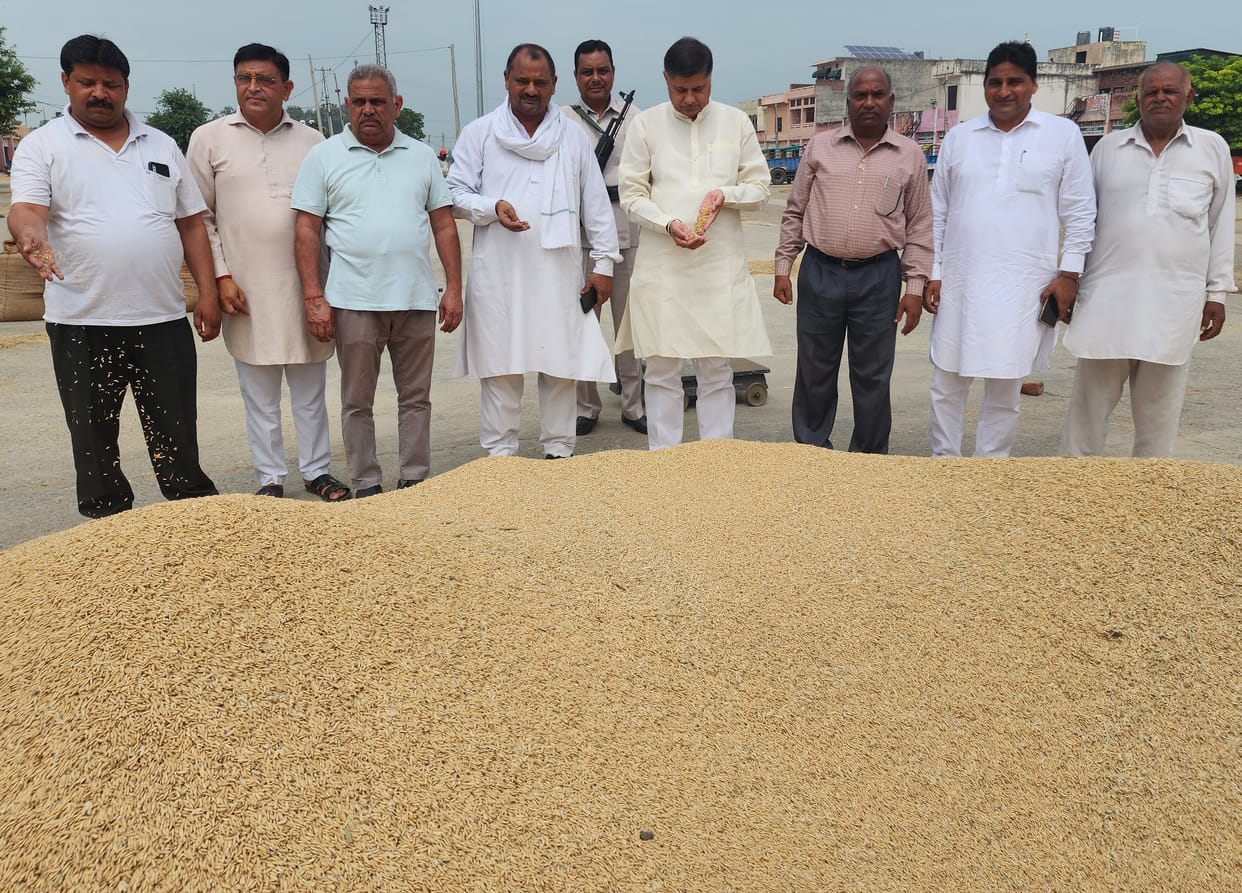 Government should start paddy procurement from today, Kurukshetra