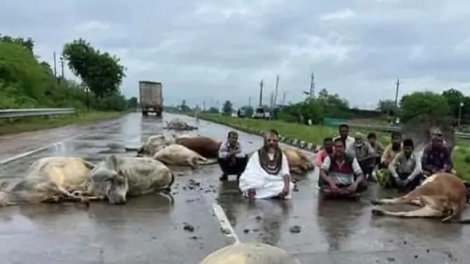 Raisen: Seeing the death of 16 cows in a road accident, Computer Baba sitting on a dharna