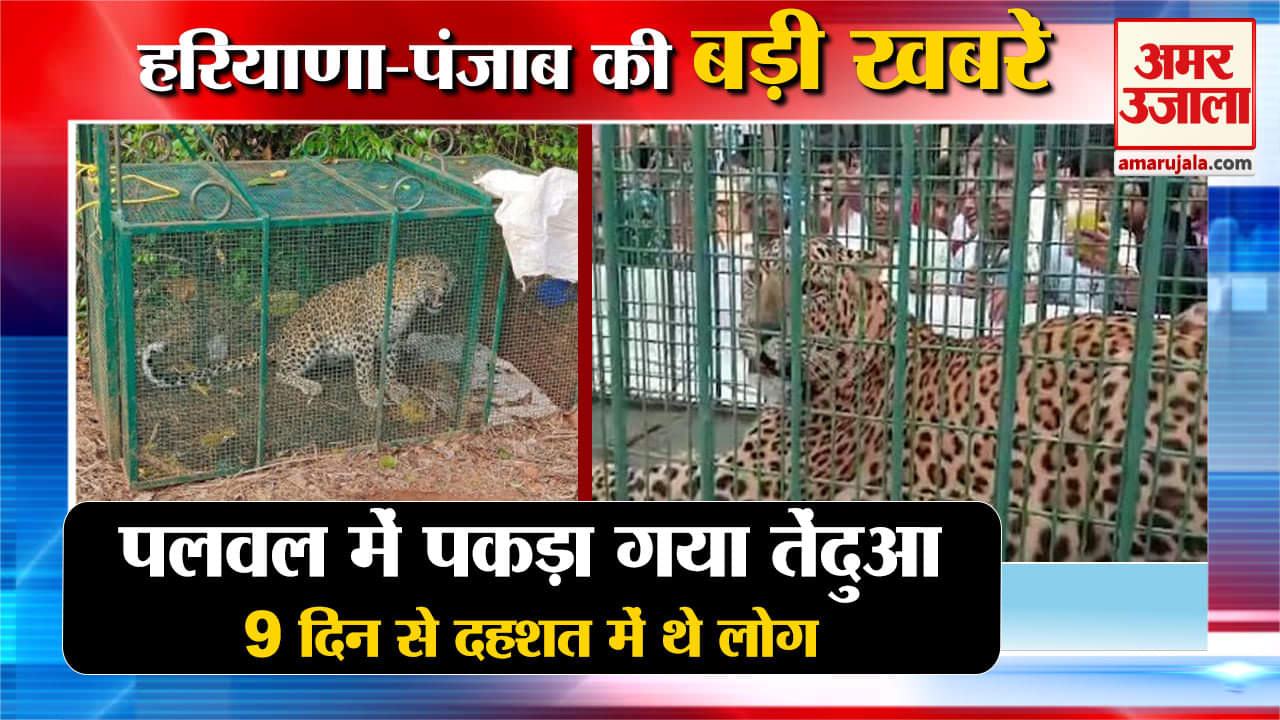 हरियाणा न्यूज