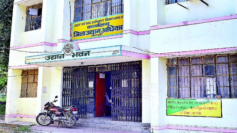 Horticulture department will give new potato seeds to farmers in Mainpuri