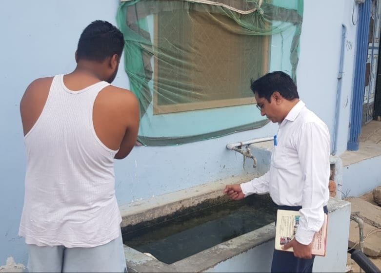 Beware... Dengue stings more in September and October