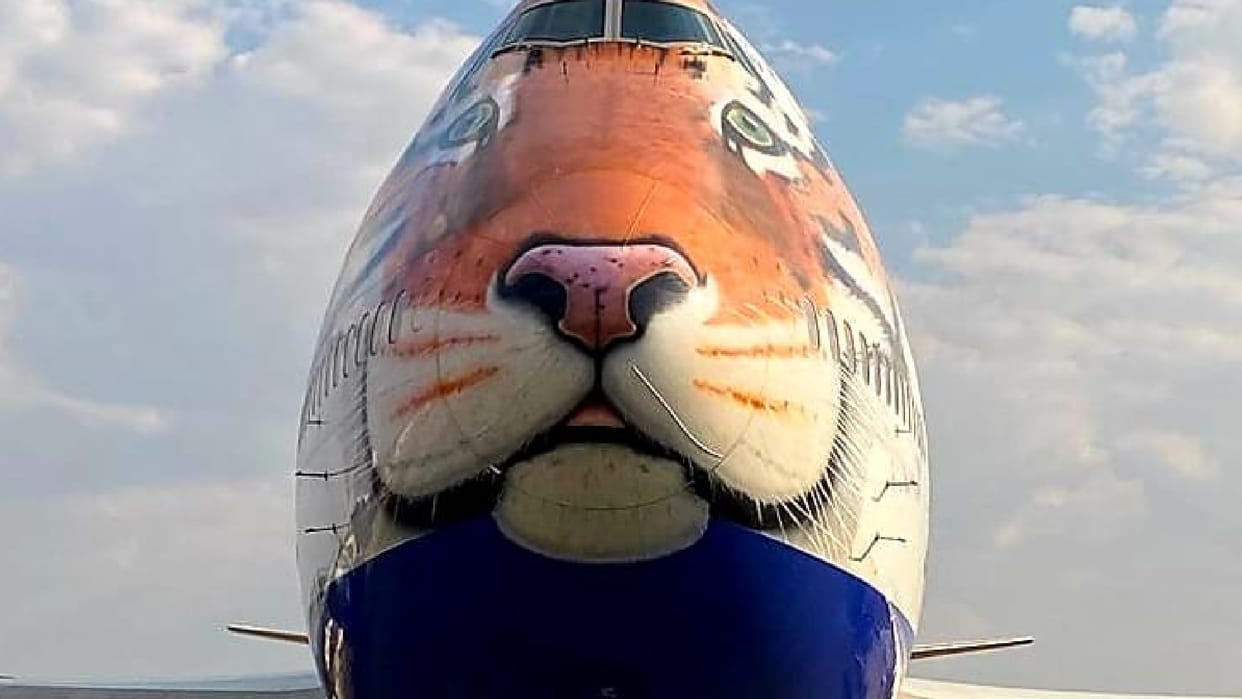Project Cheetah Update: African Cheetahs in India, Flight from Namibia to Land in Gwalior Today