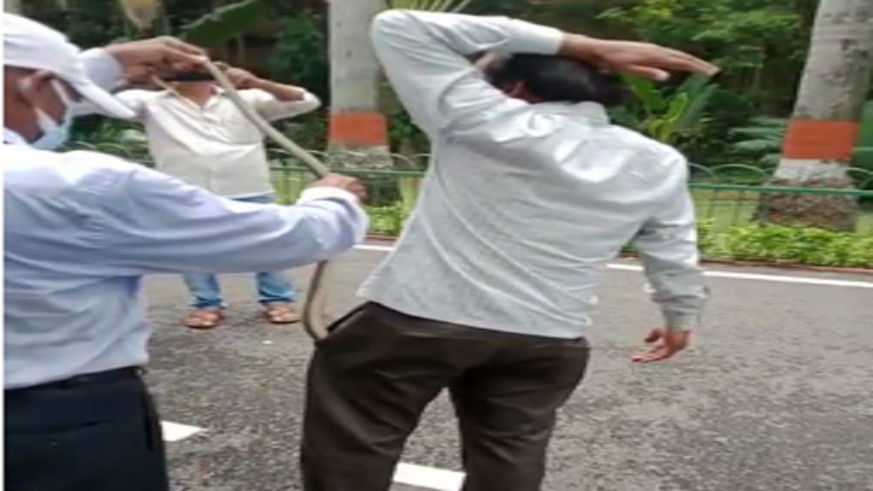 Professor put snake in employee's pocket know what happened then, watch video