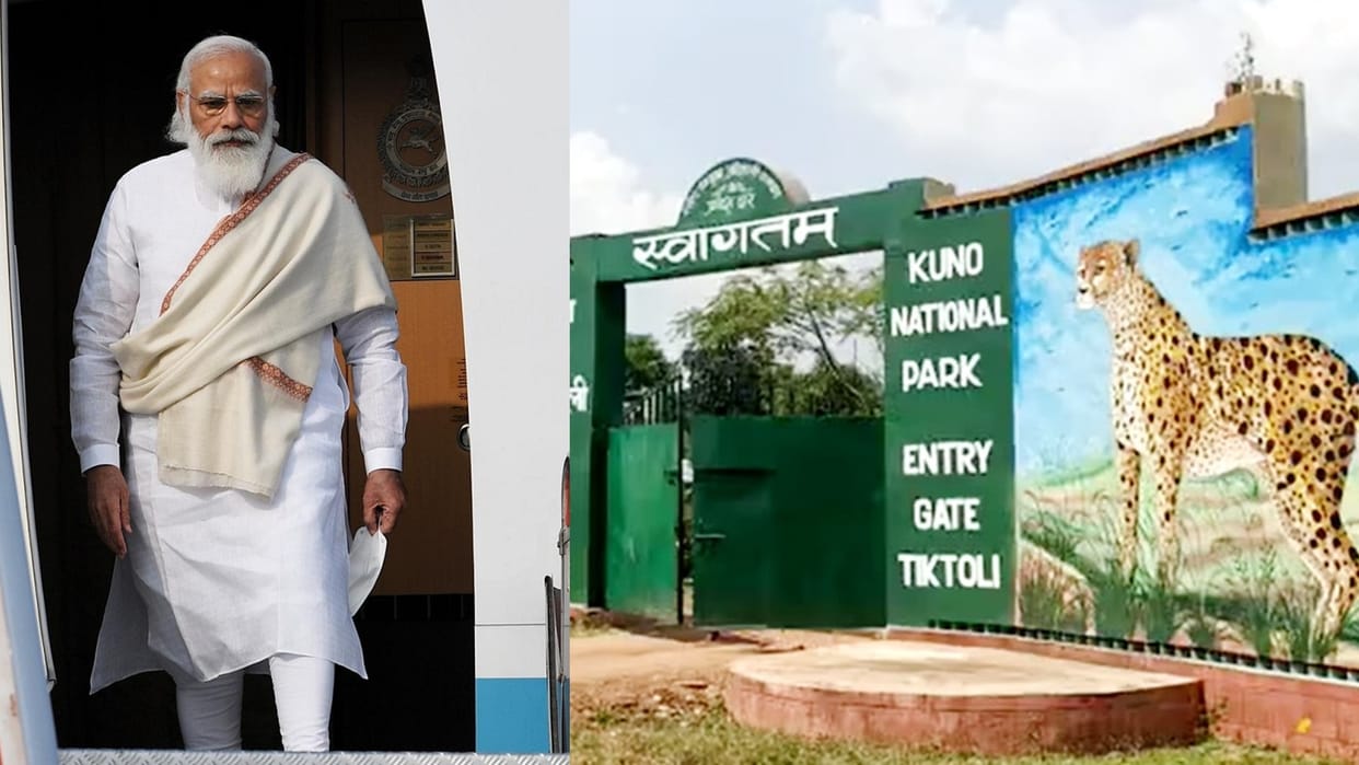 Modi will be the first Prime Minister to reach Sheopur, leopards will give new identity to the district