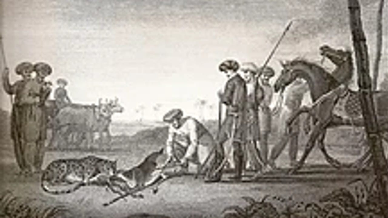 Akbar had thousand cheetahs, this king hunted the last three cheetahs, know the story of Indian cheetahs