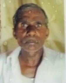 Farmer dies due to tractor collision