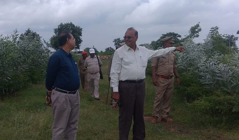Chitrakoot: Chief Conservator of Forests took stock of Tiger Reserve area