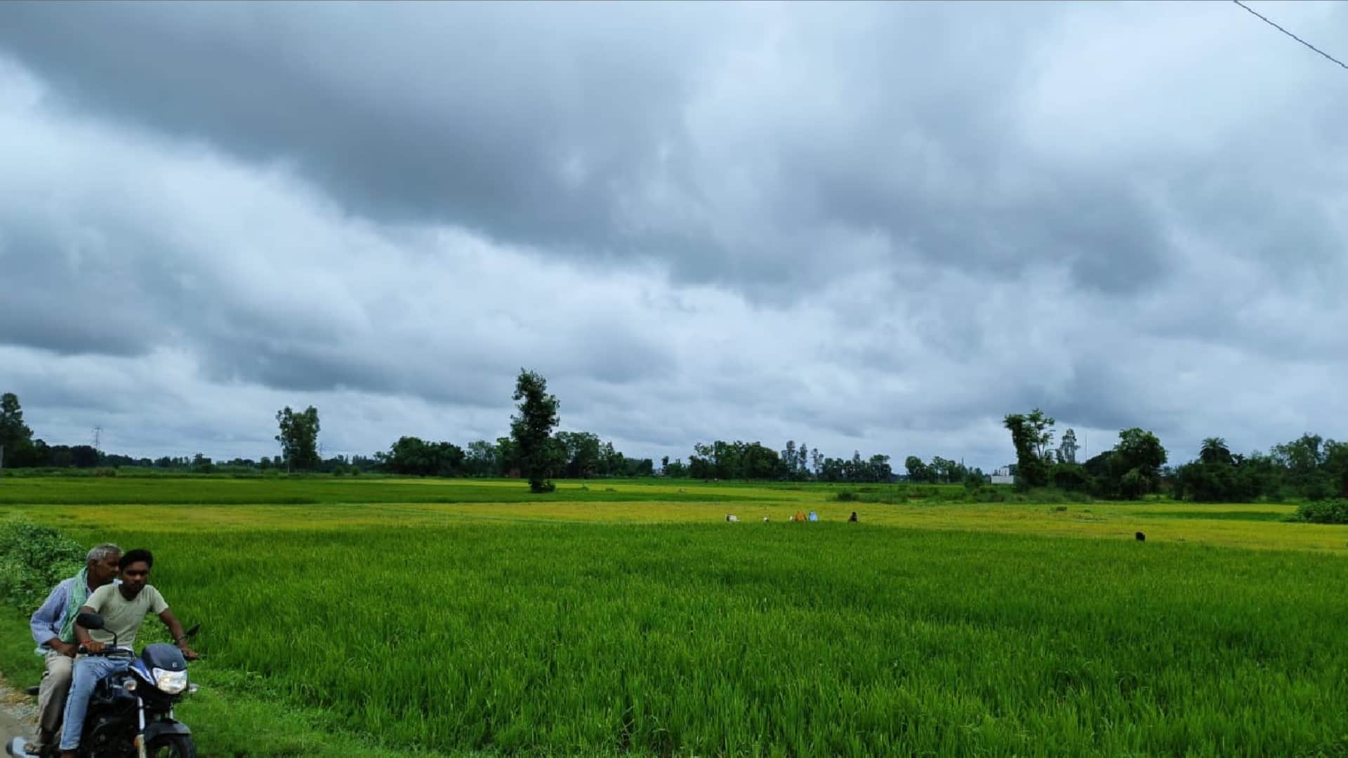 10-year record of rain broken in Gorakhpur