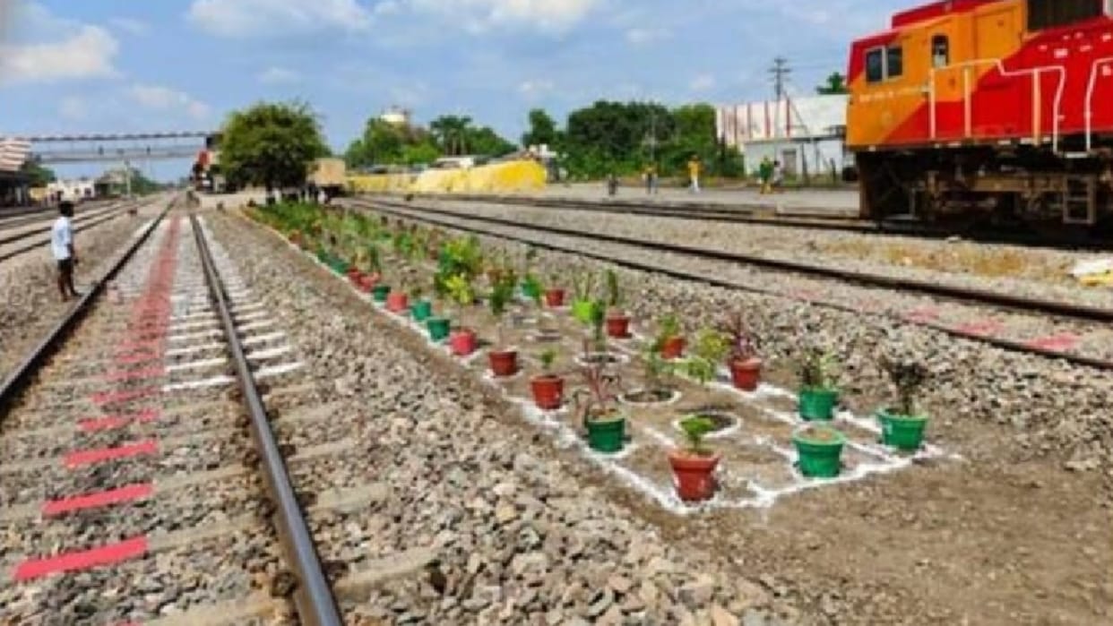 Glowing track and greenery will tell station