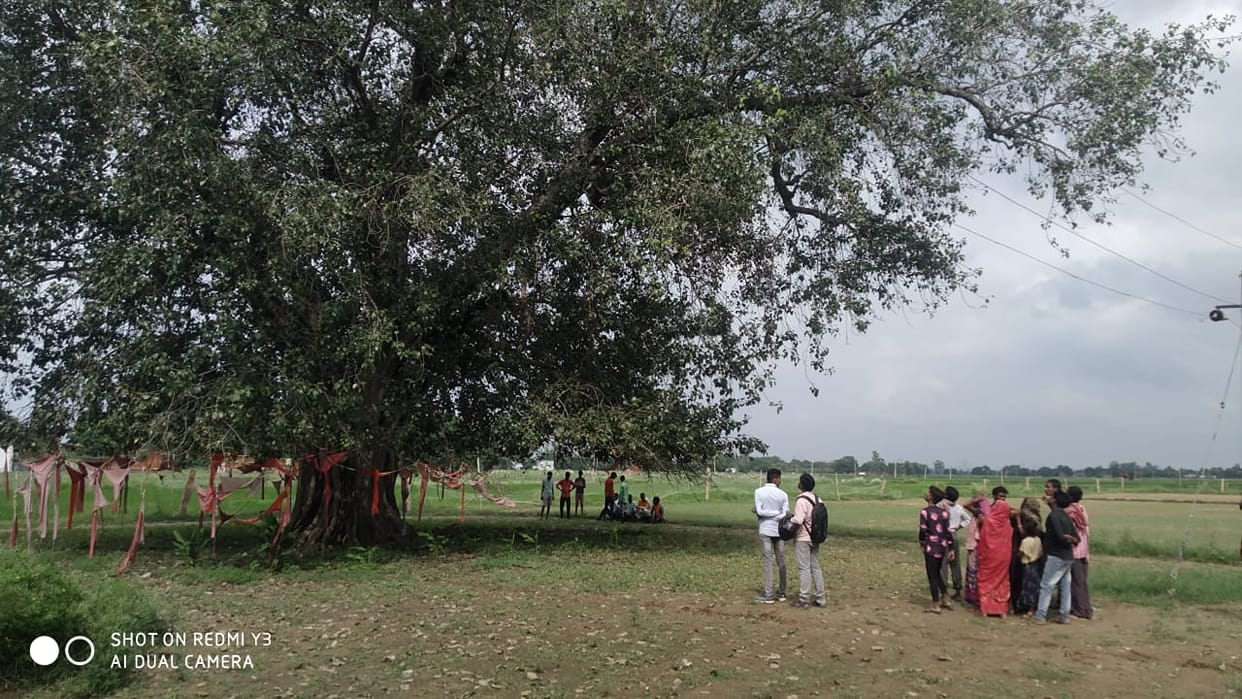Now youth living on tree in Mirzapur Even after rain and lightning  villagers were shocked