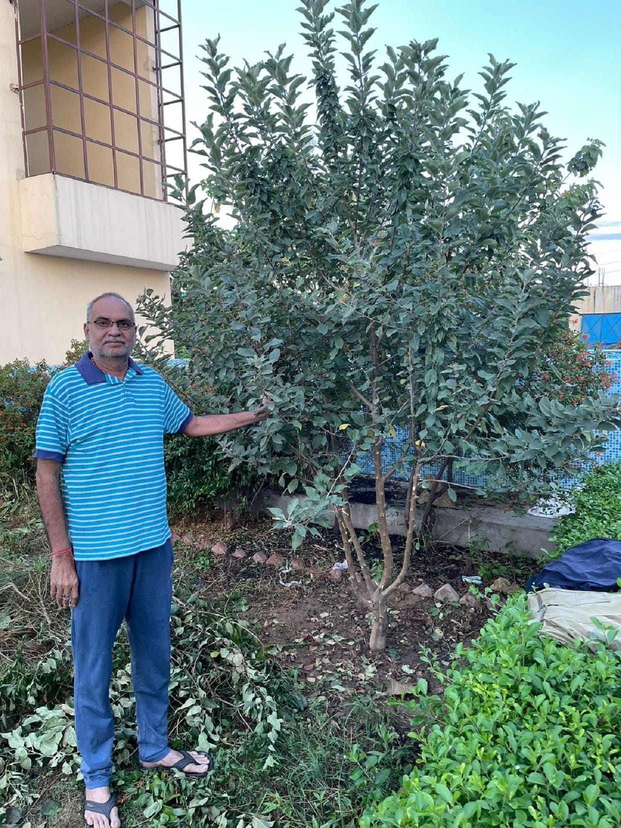 Now Himachal's apple horticulture will be done in Aligarh too