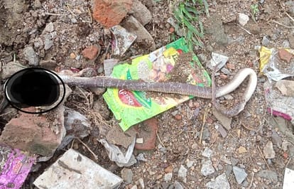 snake bites three members of same family mother-daughter death sons condition critical in sonebhadra