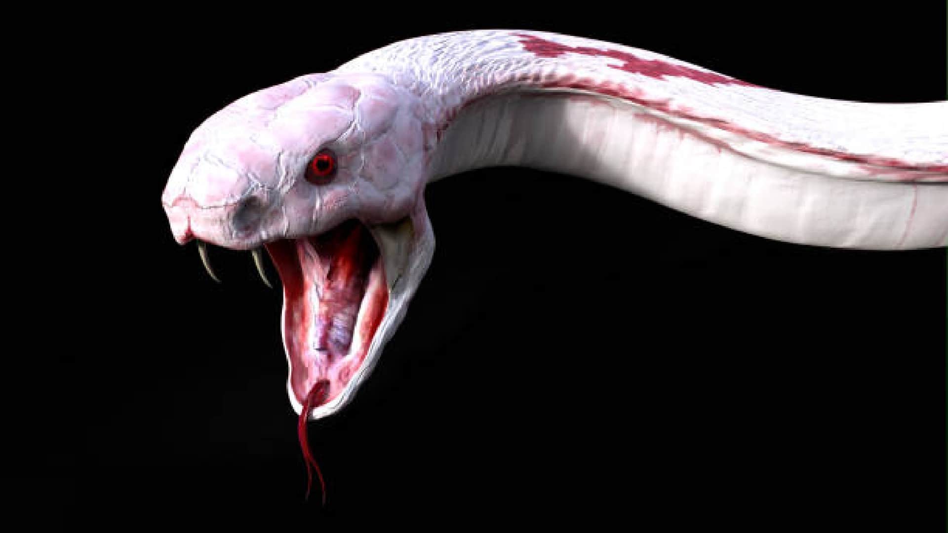 Venomous Snake Farming In Village Of China Zhejiang Know History Behind It In Hindi