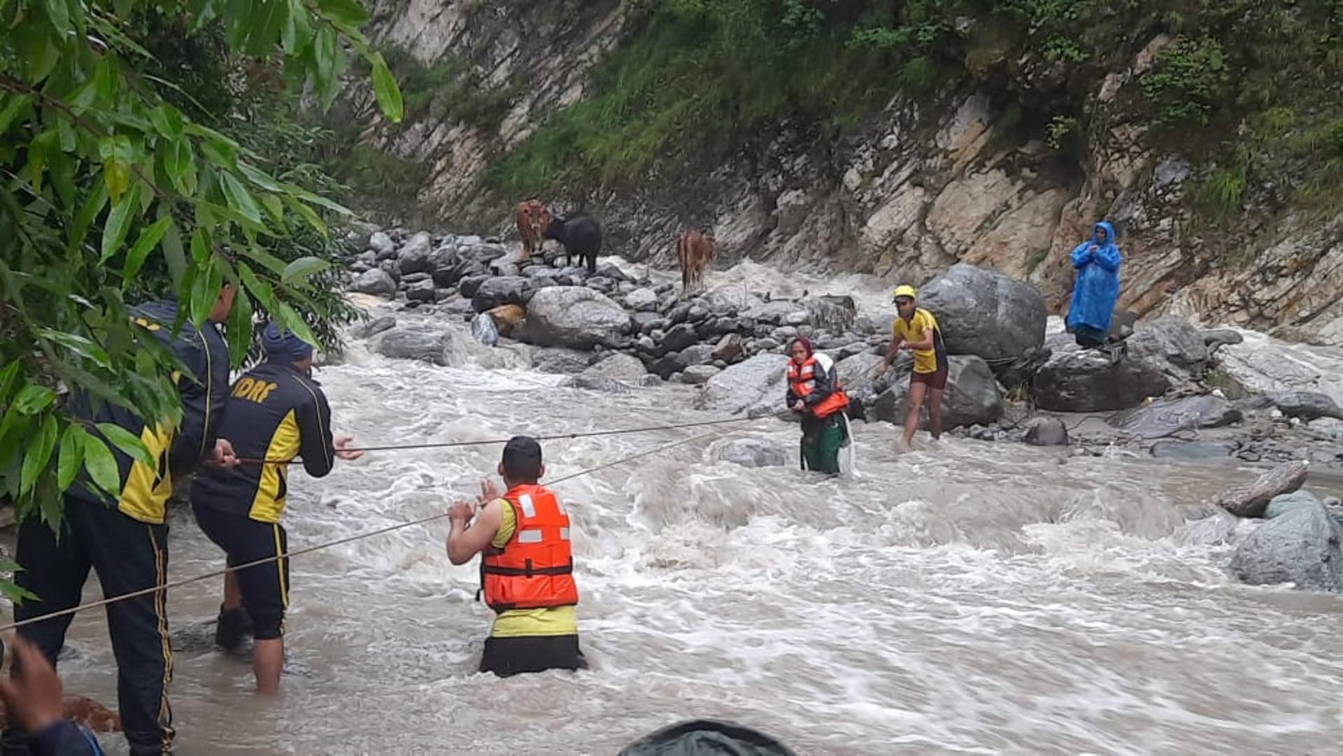 Weather Heavy rain Two women trapped in river SDRF rescued Uttarakhand news in hindi