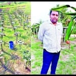 ड्रैगन फ्रूट के खेत में प्रदीप चौधरी