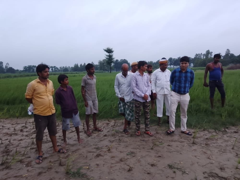 sdm inspected cutting spot