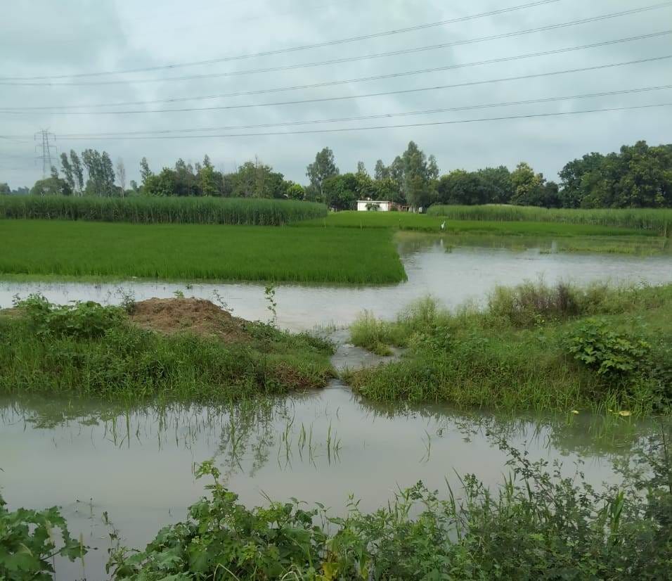 Canal cut near Chhapia village, water filled in Siwan