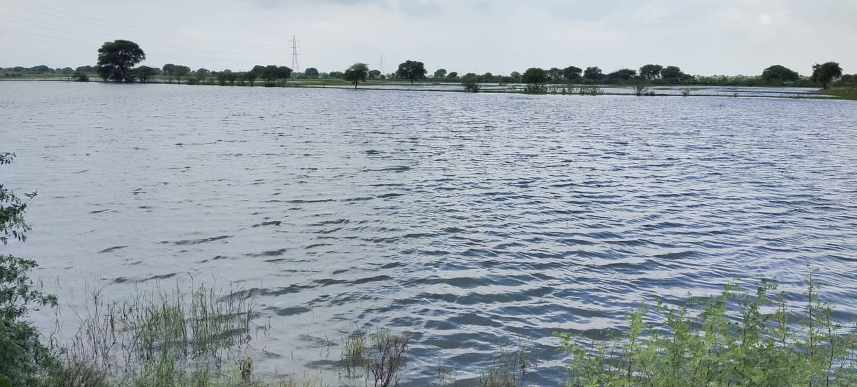 Jalaun: Bad condition of farm ponds, cowsheds and roads
