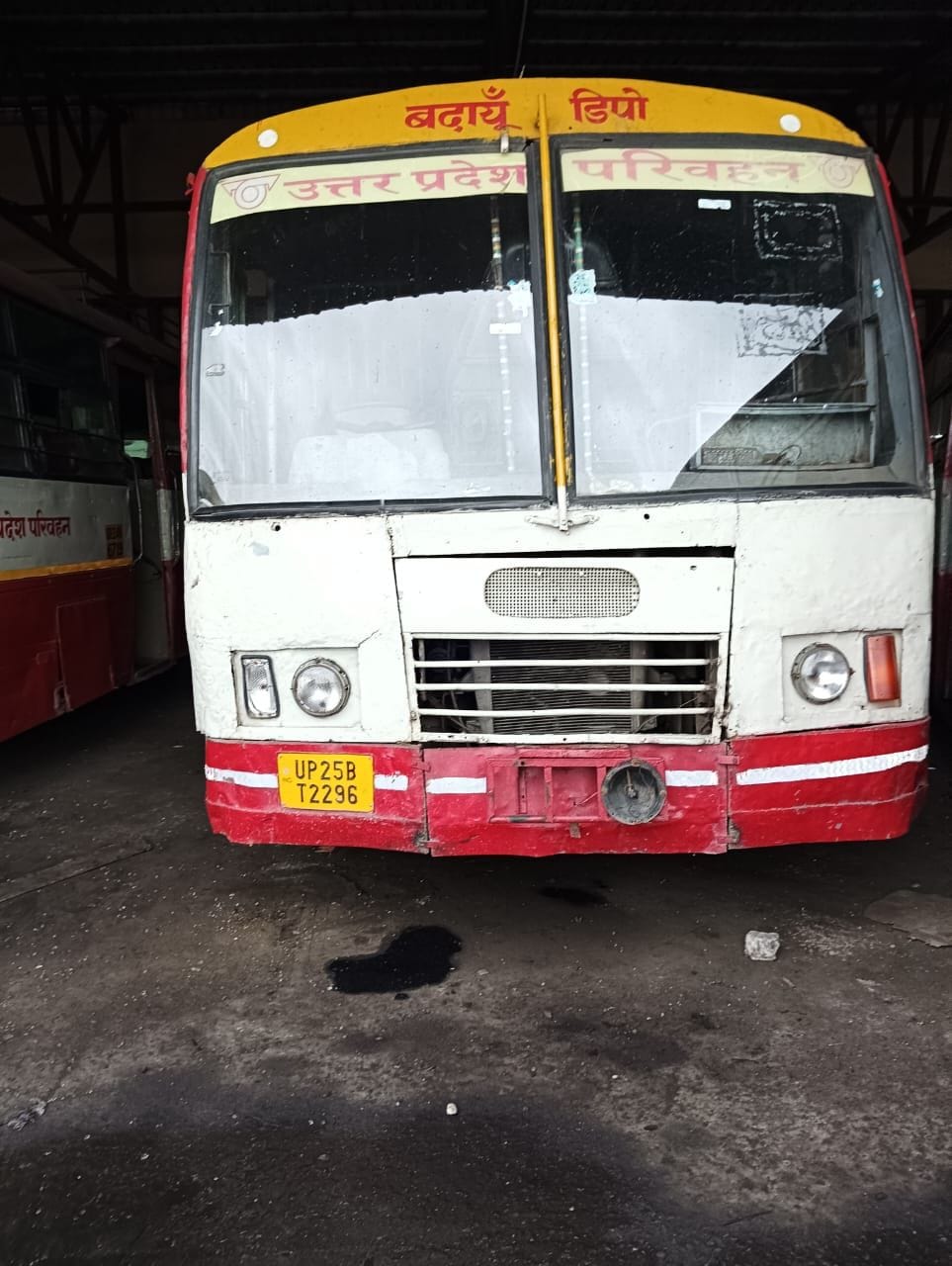 bus