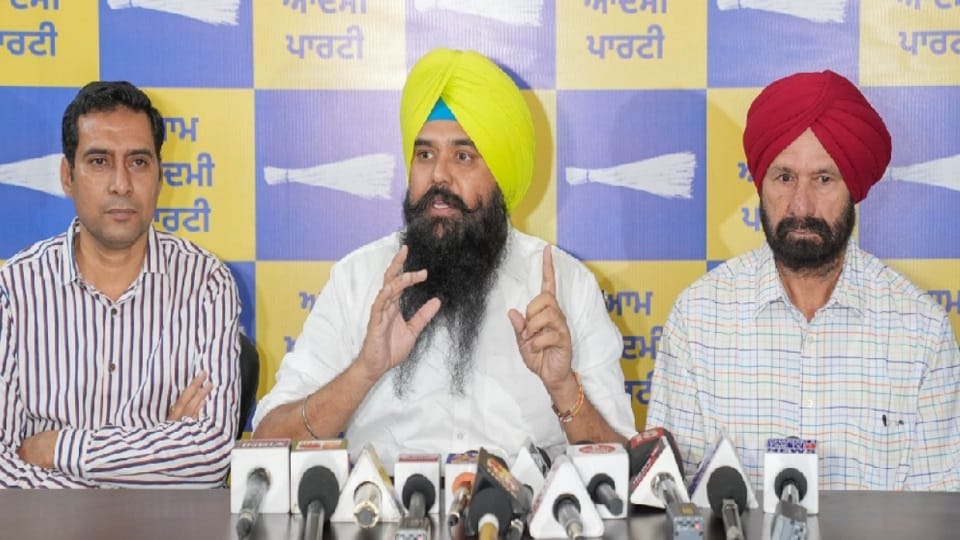 Punjab : Aam Aadmi Party released six months report card