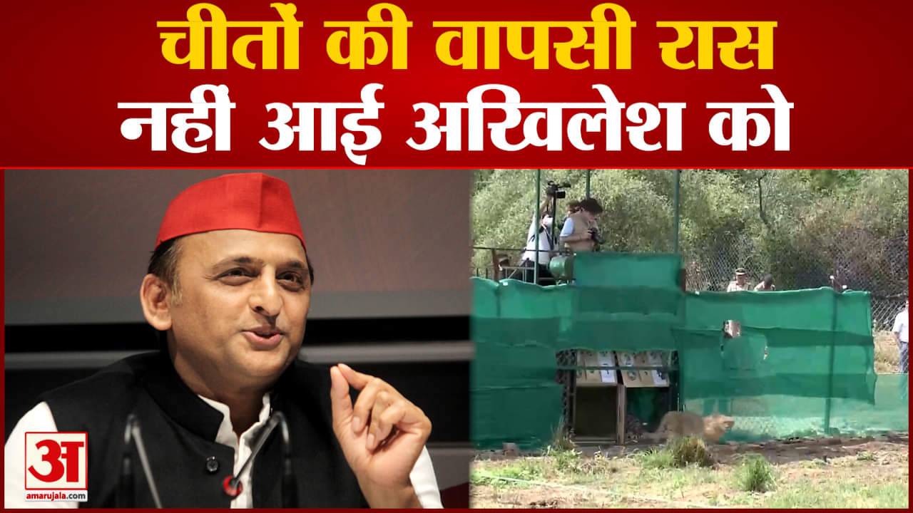 अखिलेश यादव