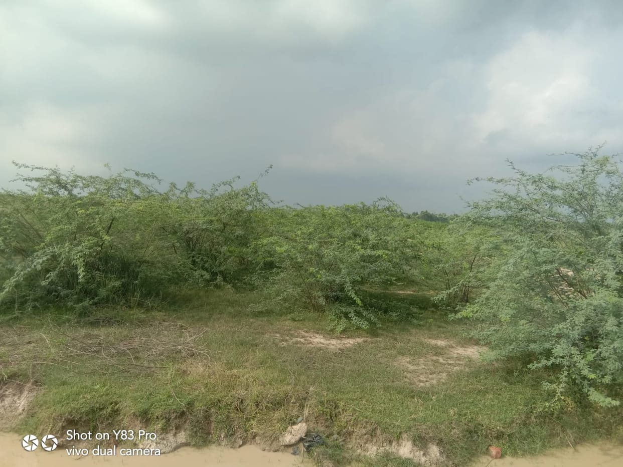Hardoi, Proposal for new industrial establishment ready, waiting for approval from UP SIDA