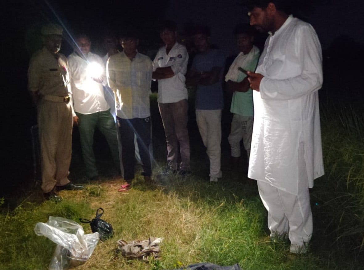 Skeleton of missing person's head and hand found